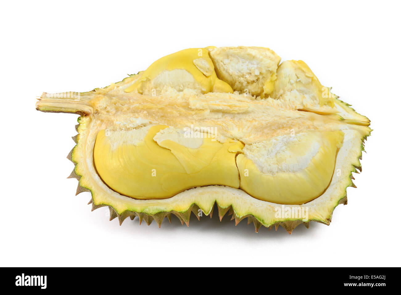 Durian pelées isolated on white Banque D'Images