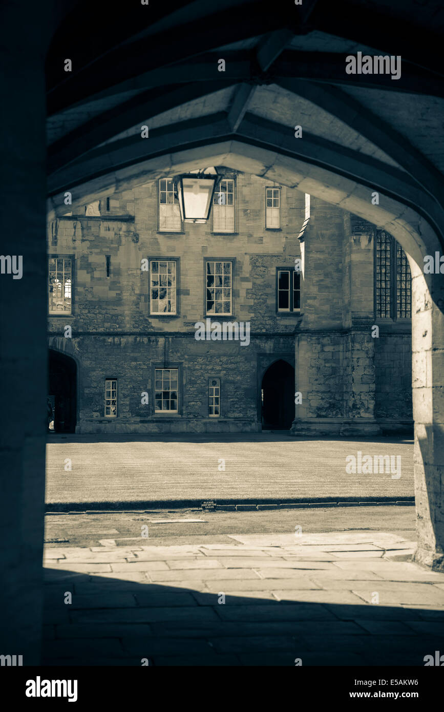 Quadrangle jardin bâtiments, New College, Oxford, England, UK Banque D'Images