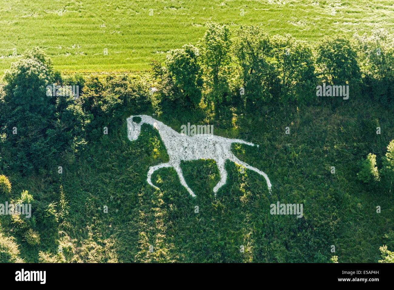 Vue aérienne de la ville de White Horse au large ou Large Hinton, Royal Wootton Bassett nr, au sud de Swindon, Wiltshire, Royaume-Uni. JMH6171 Banque D'Images
