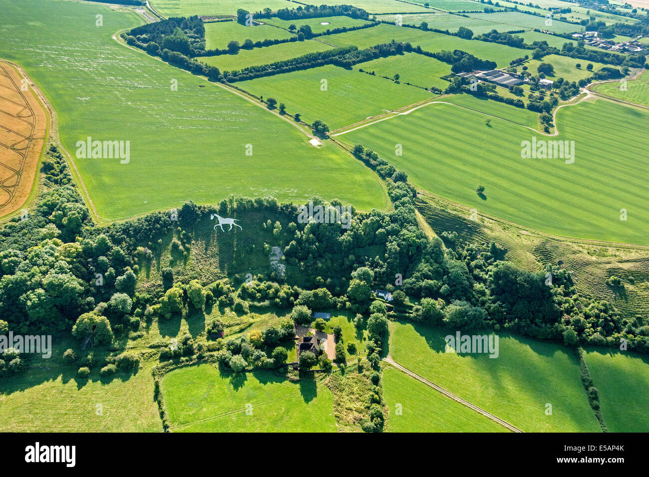 Vue aérienne de la ville de White Horse au large ou Large Hinton, Royal Wootton Bassett nr, au sud de Swindon, Wiltshire, Royaume-Uni. JMH6173 Banque D'Images