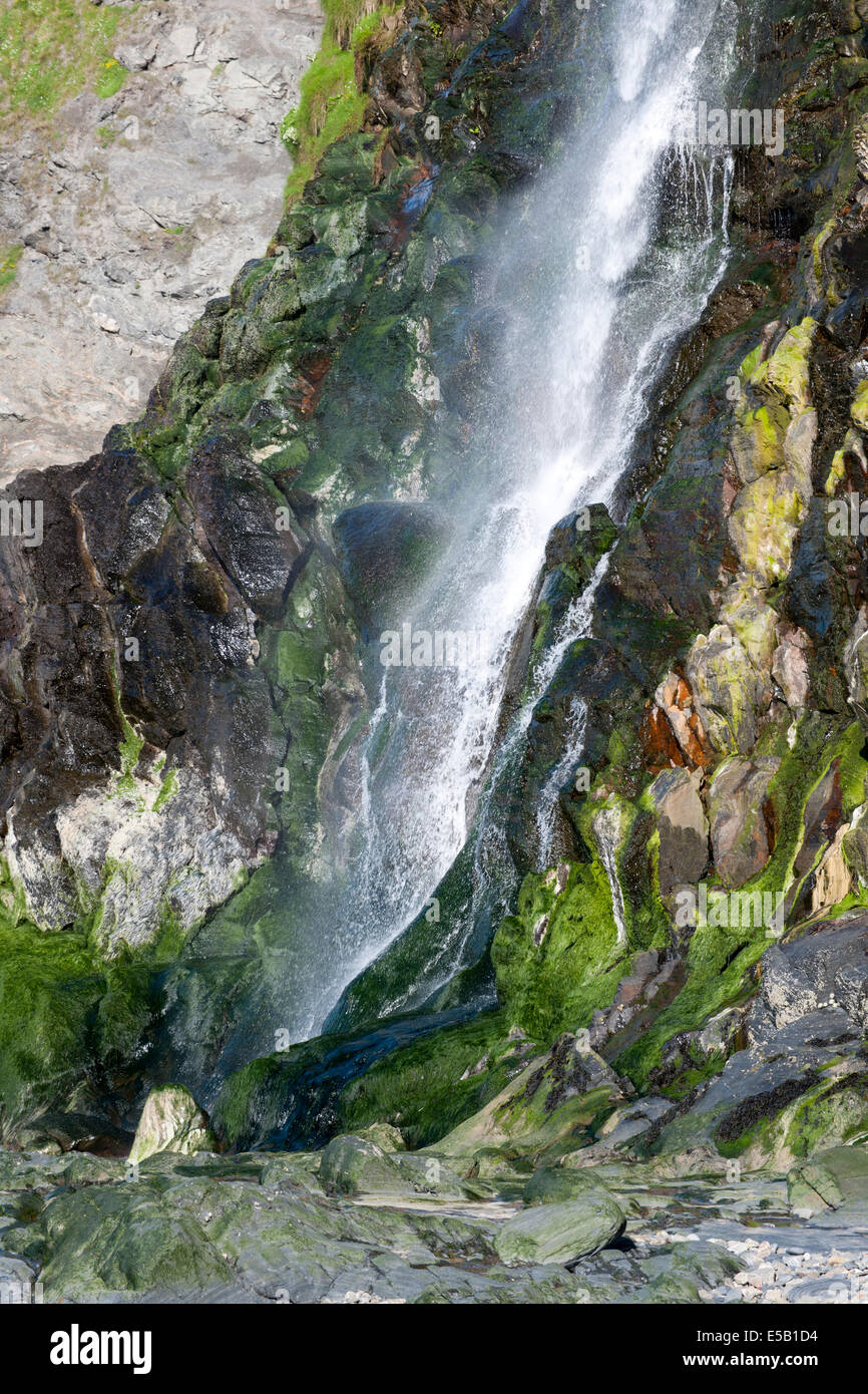 River dit cascades en bas des falaises à Tresaith, Ceredigion, La Baie de Cardigan, Wales, UK. Banque D'Images