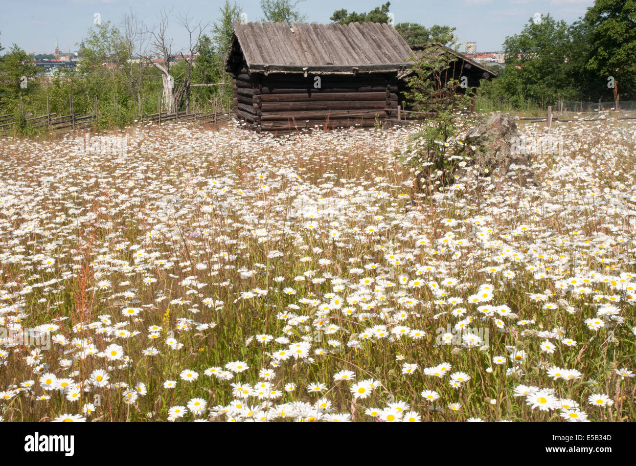 Pâturage d'été ferme (Dalarna, N. Suède) au musée en plein air de Skansen, Djurgarden, Stockholm Banque D'Images