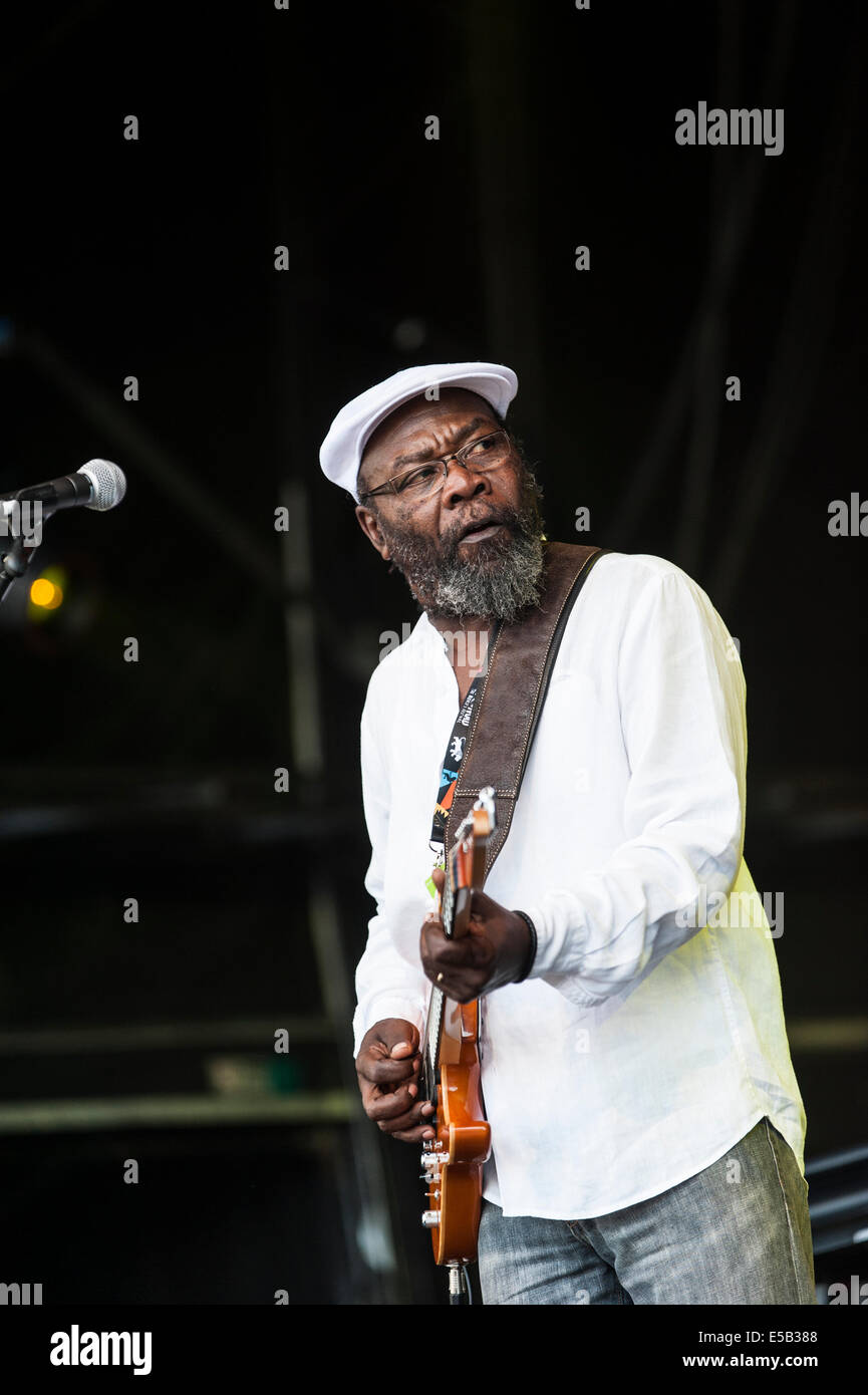 Charlton Park, Royaume-Uni. Le 25 juillet, 2014. Clinton Fearon reggae jamaïcain, titan, perfoms sur la scène en plein air au festival WOMAD à une chaleur écrasante à la mi-journée foule. Fearon, le bassiste original de racines-reggae heavyweights The Gladiators, apportera à performances ce week-end. Credit : Francesca Moore/Alamy Live News Banque D'Images