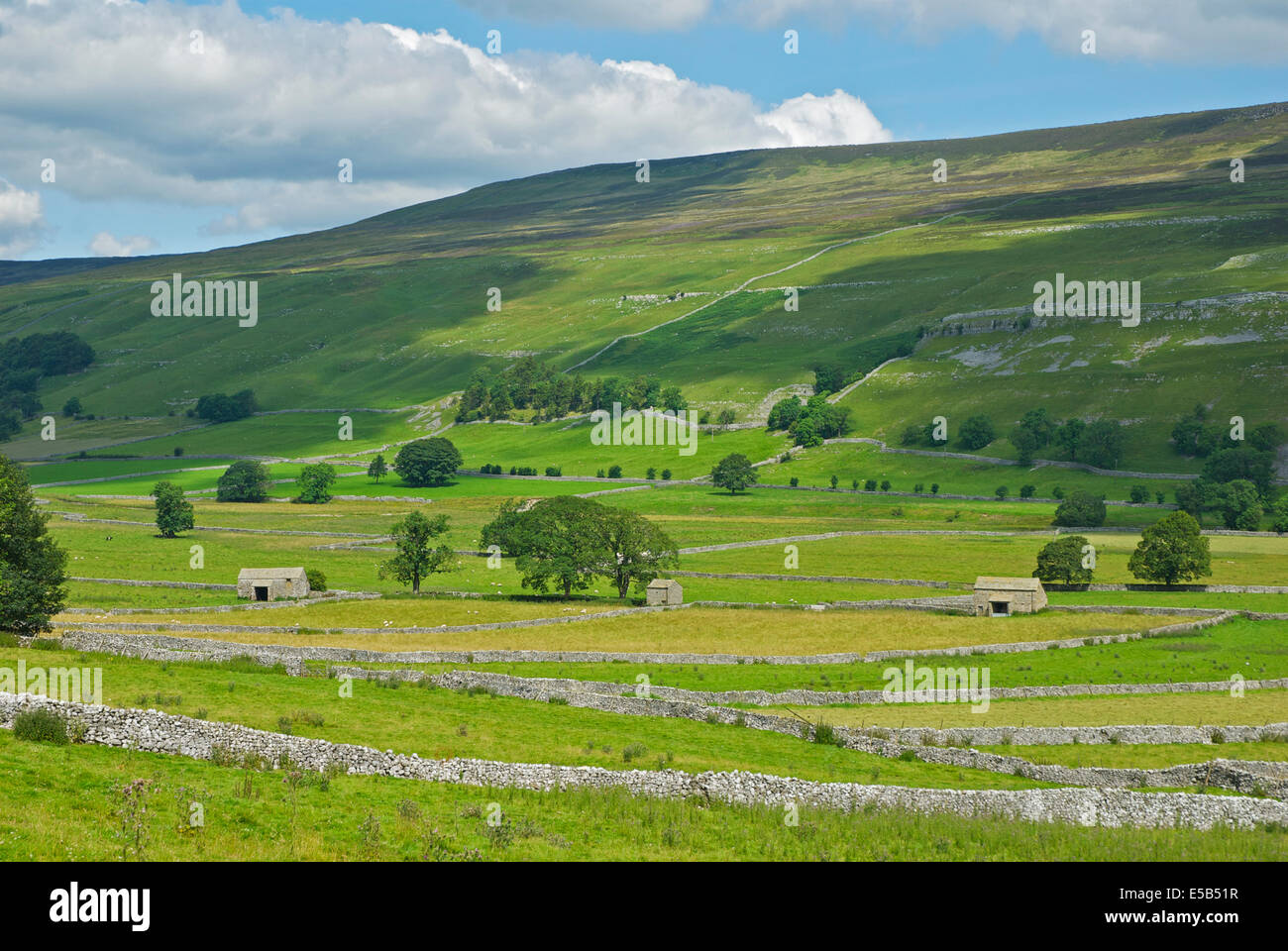 Domaine-granges dans Littondale, Yorkshire Dales National Park, North Yorkshire, England UK Banque D'Images