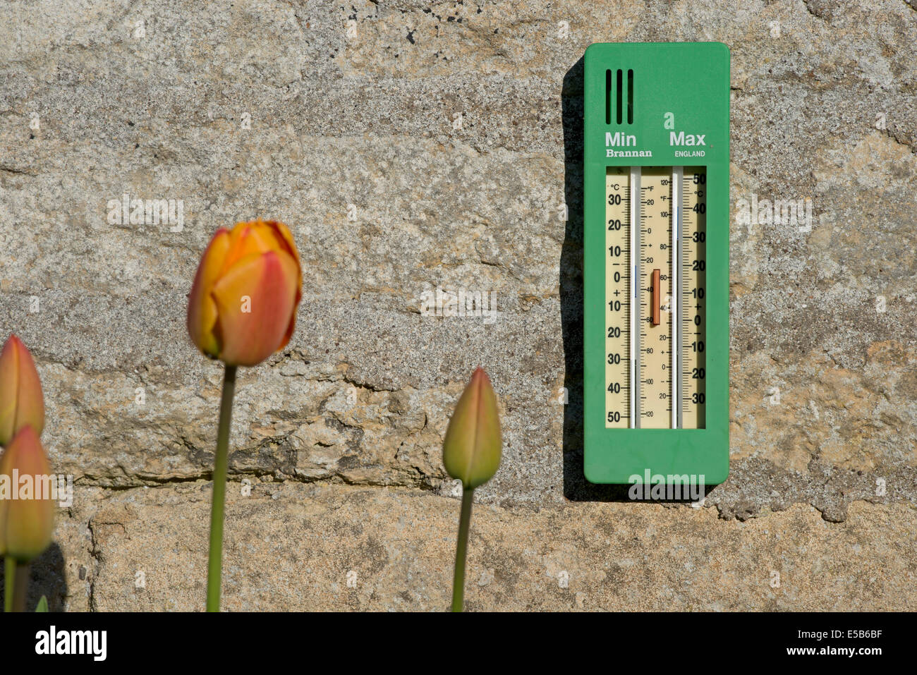 Thermomètre dans jardin montrant l'amélioration des conditions météorologiques après printemps humide Banque D'Images