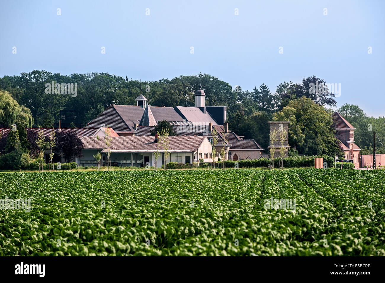 Abbaye saint sixte de westvleteren Banque de photographies et d’images
