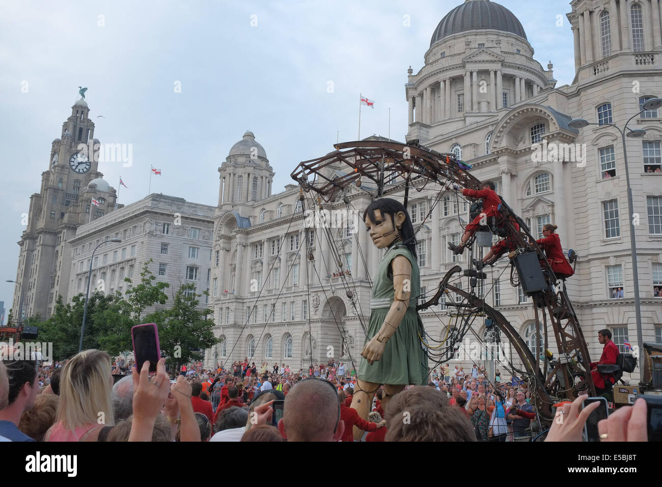 Liverpool, Royaume-Uni. 26 juillet, 2014. Petite fille au géant Pier Head, avec Liver Building en arrière-plan, Liverpool sur son service à pied autour du centre de Liverpool. Les géants retour à Liverpool, ayant été très populaire en 2012, et sont la création de la compagnie de théâtre de rue française "Royal de Luxe". Les géants sont performants dans 'Mémoires d'août 1914" un conte de guerre storie liés à l'anniversaire 100 ans du début de la Première Guerre mondiale. crédit : Paul Quayle/Alamy Live News Banque D'Images