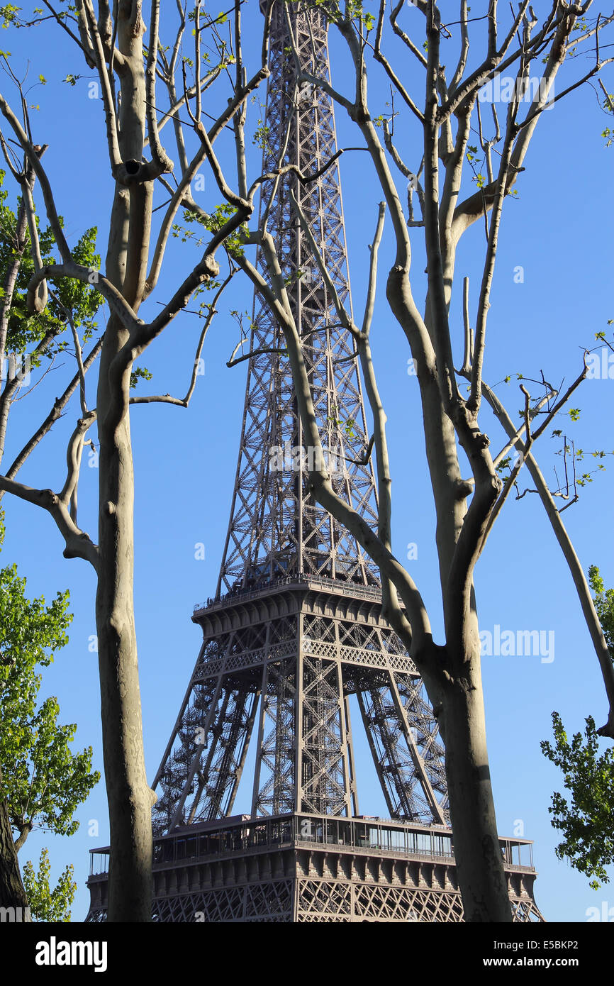 Vue sur la tour Eiffel à travers les arbres de ressort Banque D'Images