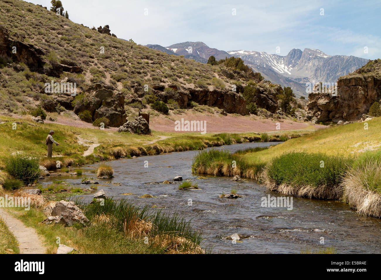 La pêche à la mouche sur la rive de la rivière Owens dans la longue vallée Caldera de Mono County California USA Banque D'Images