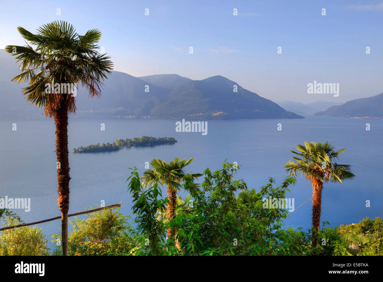 Iles de Brissago, le Lac Majeur, Tessin, Suisse Banque D'Images