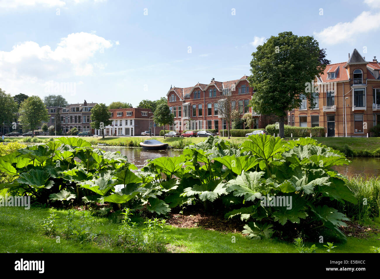 Vue depuis l'Hortus Botanicus à la Witte Singel à Leiden, Hollande Banque D'Images