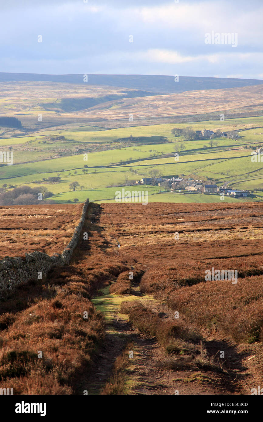 À l'échelle de l'eau du diable sur la lande de bruyère bien au-dessus des transporteurs Blanchland, Northumberland Banque D'Images