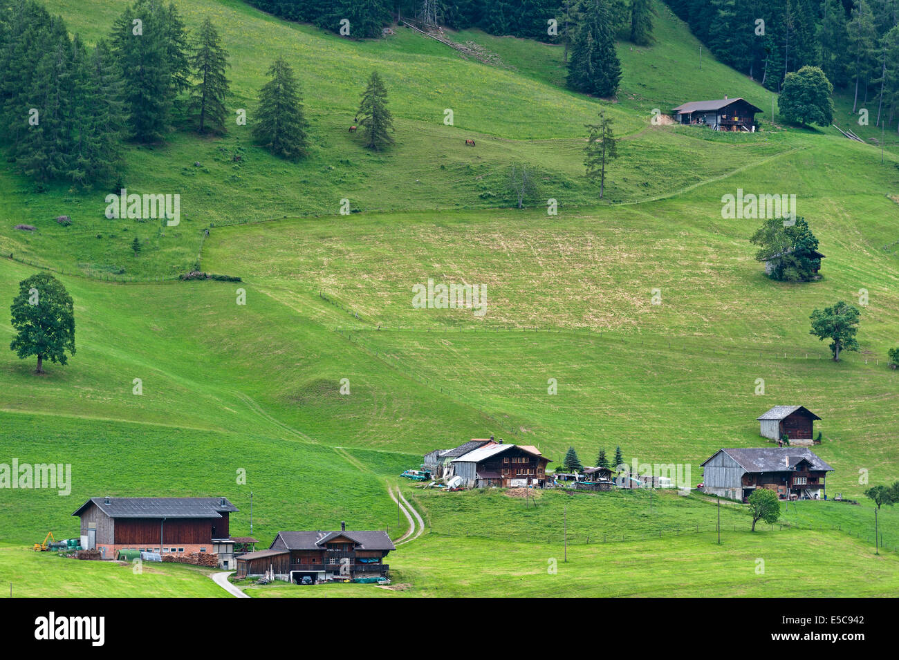 Vue de la ferme et les pâturages dans les Alpes Banque D'Images