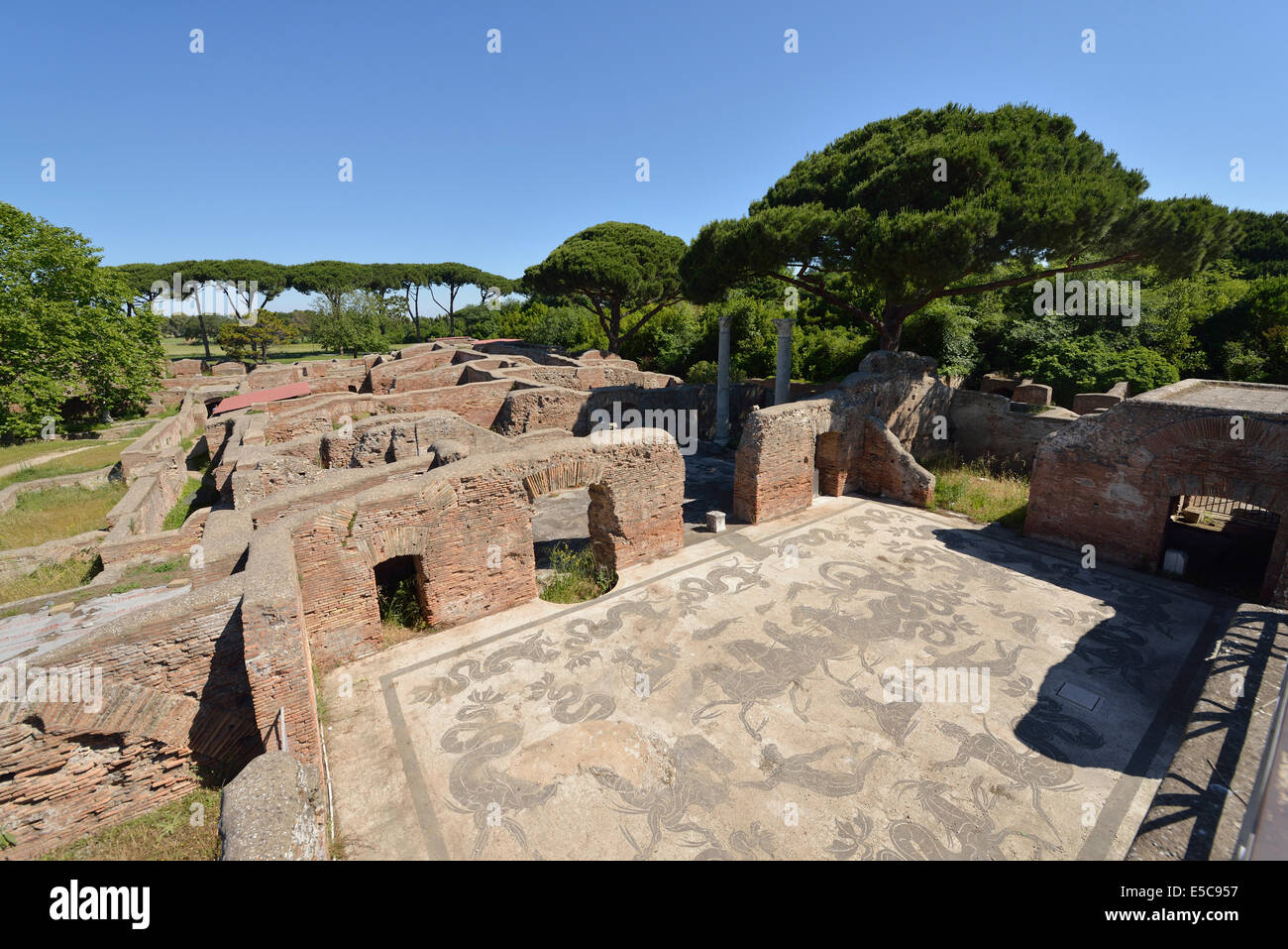 Mosaïques dans les Thermes de Neptune Ostia Antica Rome Italie Banque D'Images