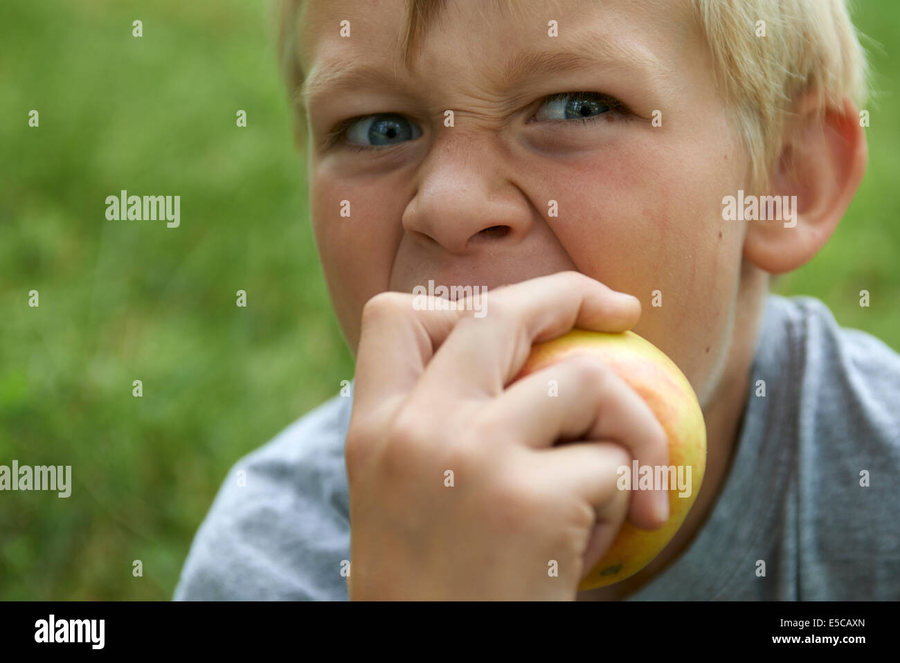 Portrait de l'enfant garçon blond Yeux bleu Eating Apple à l'extérieur, grin Banque D'Images