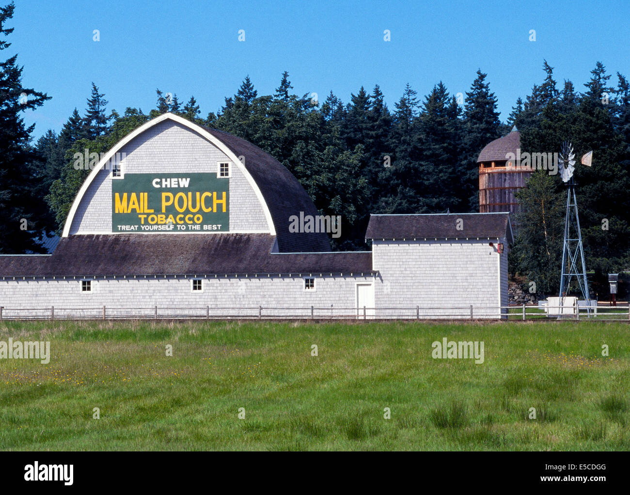 L'un des milliers de Mail Pouch Tobacco signe peint sur les côtés des granges à travers les États-Unis est vu sur Orcas Island dans l'état de Washington, USA. Banque D'Images