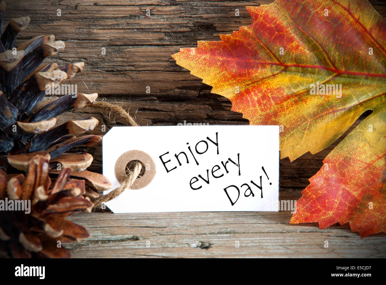 Une étiquette d'automne avec les mots d'apprécier chaque jour, sur bois Banque D'Images