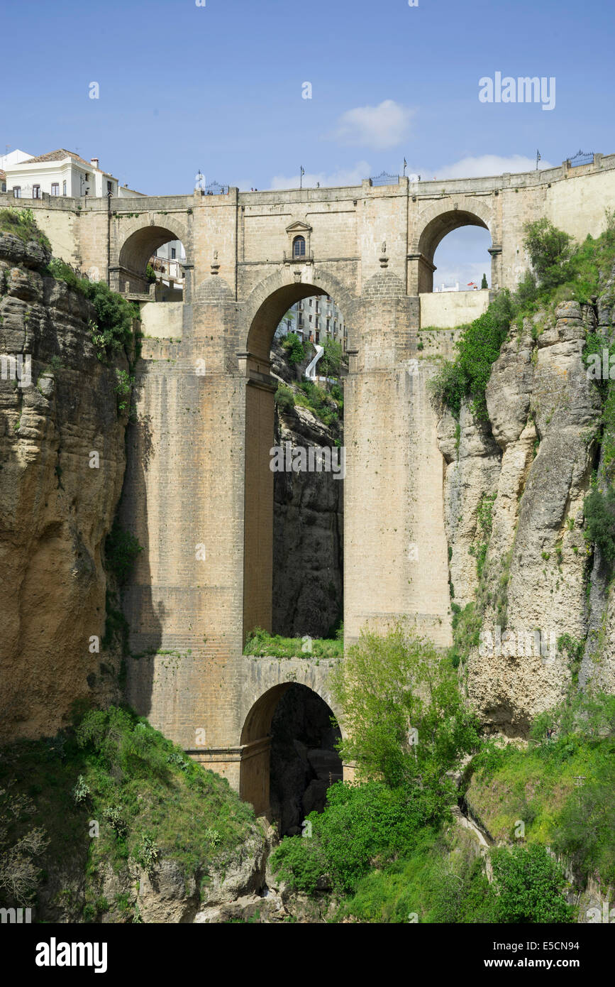 El Tajo Canyon et El Puente Nuevo, Ronda, province de Malaga, Andalousie, Espagne Banque D'Images