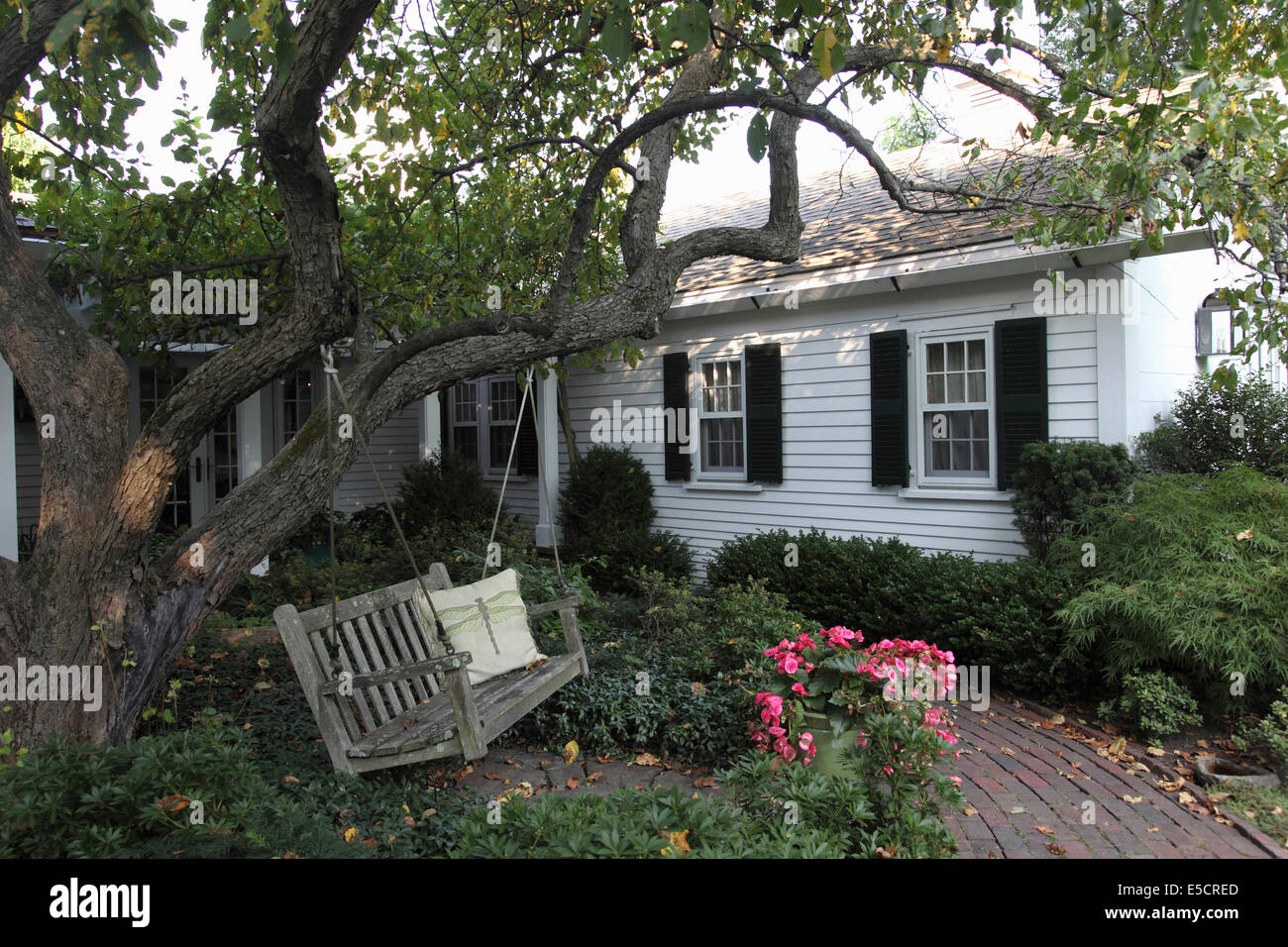 Balançoire en bois suspendu à un arbre derrière une maison coloniale blanche avec des volets noirs dans résidence privée, USA. Banque D'Images
