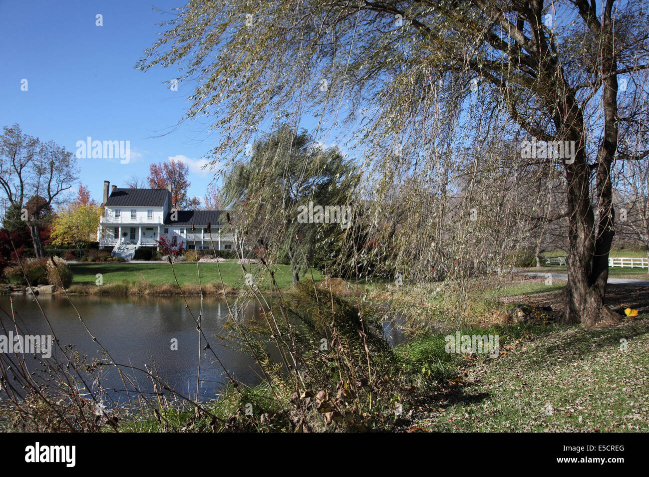 Maison coloniale avec pelouse, Étang et saule pleureur à l'avant-plan, les USA. Banque D'Images