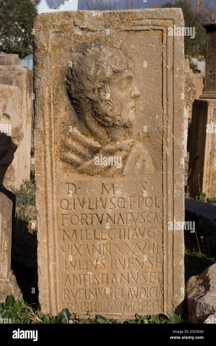 L'inscription du Musée, à l'emplacement de Lambaesis, site de la troisième Légion Auguste, Batna, Algérie Banque D'Images