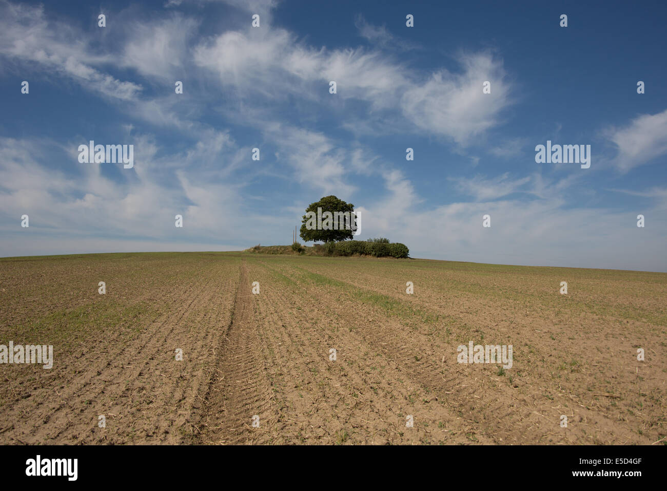 La colline de Zuran scène de Napoléon le siège dans la bataille d'Austerlitz Napoléon,République Tchèque Banque D'Images