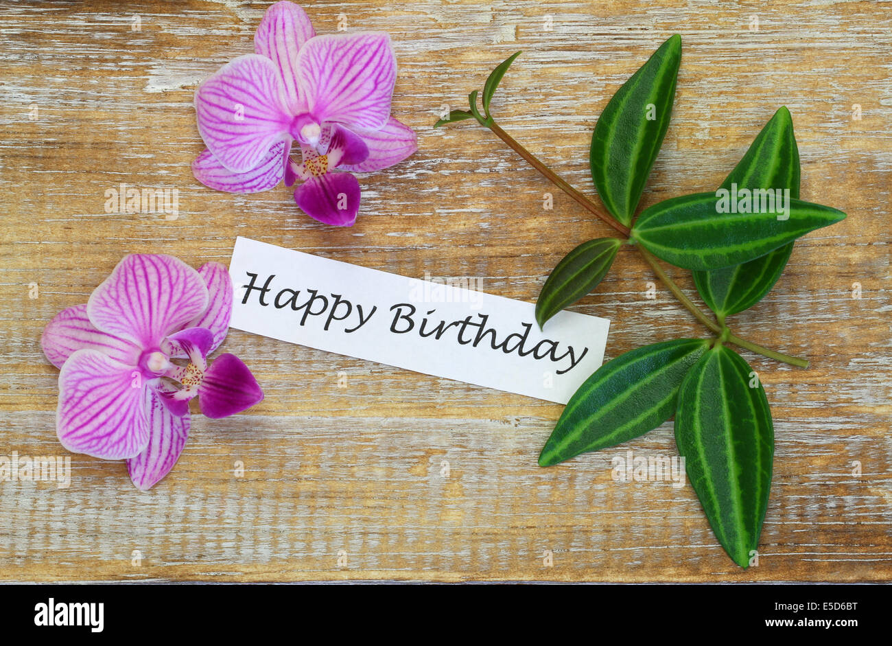 Joyeux Anniversaire Carte Avec Orchidees Rose Et Vert Les Feuilles Sur La Surface En Bois Photo Stock Alamy