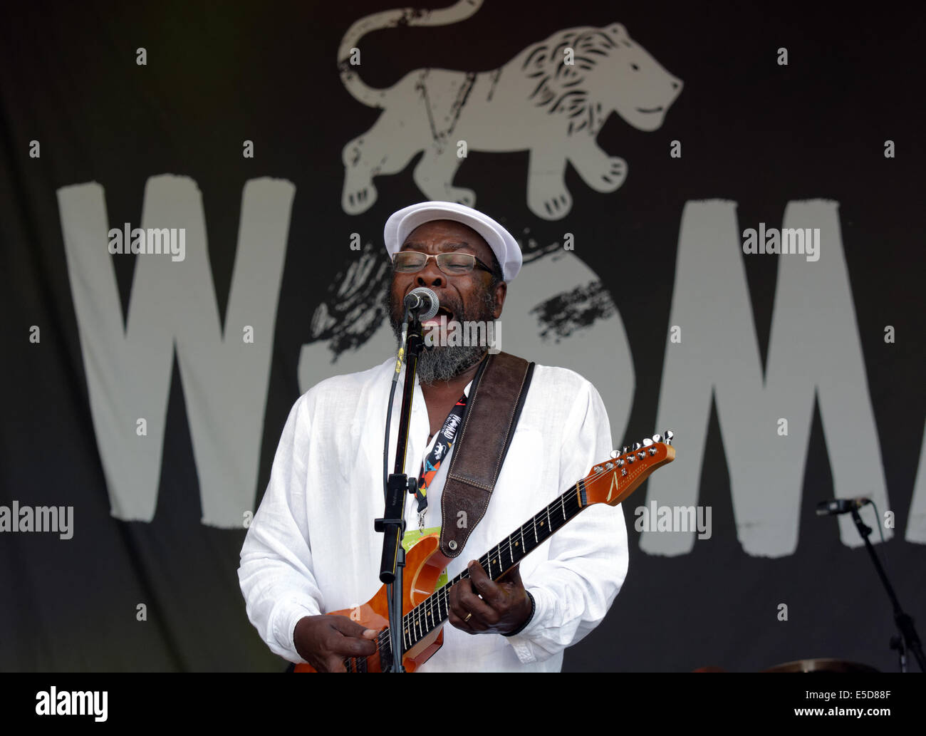 Clinton Fearon, stade en plein air, 2014 WOMAD, England, UK, FR. Banque D'Images