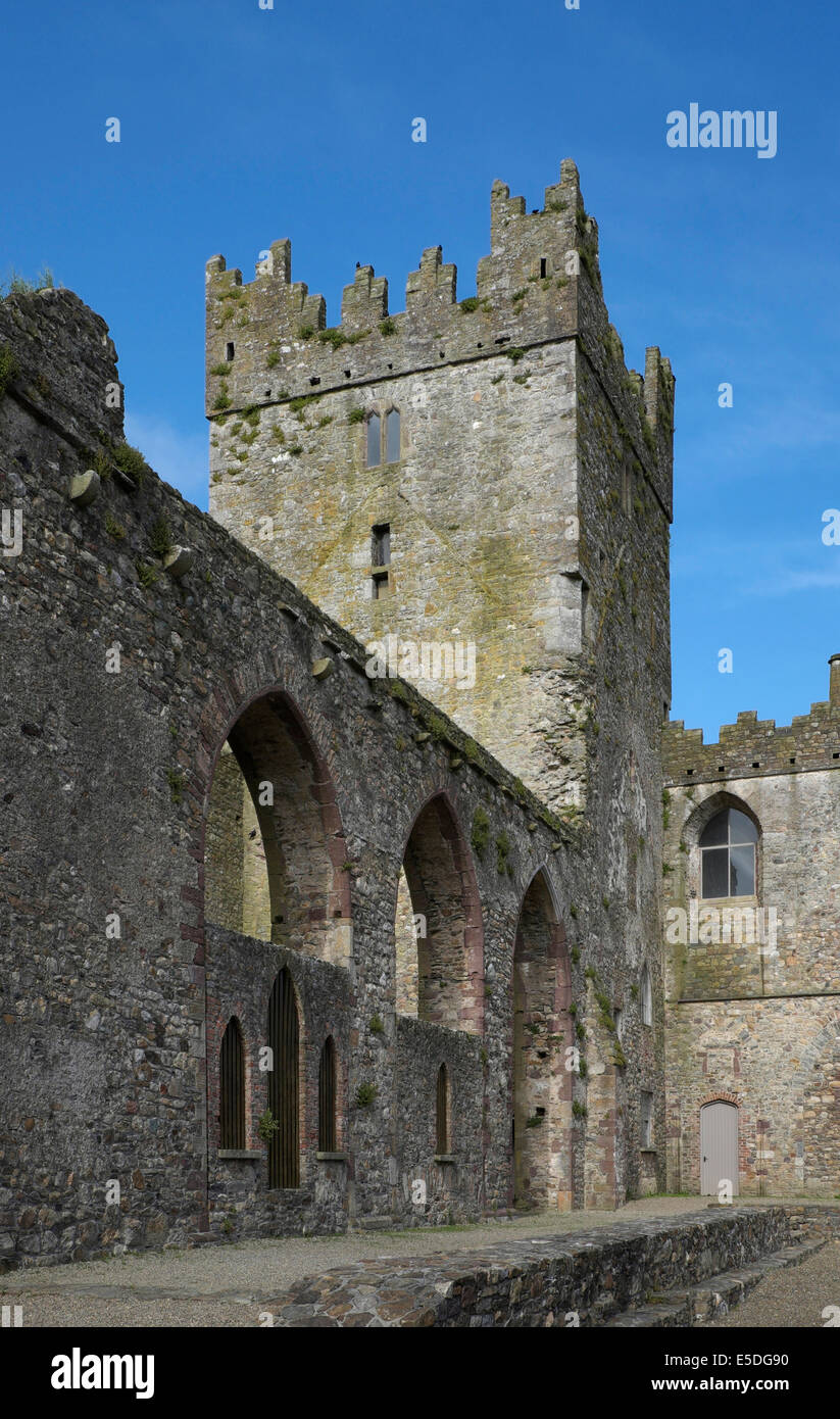 Ruines de l'abbaye de Tintern, comté de Wexford, Irlande Banque D'Images