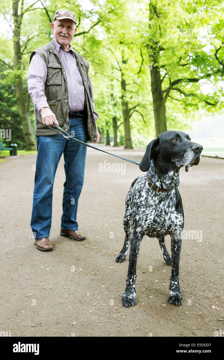 Hauts homme marchant avec son Braque allemand à city park Banque D'Images