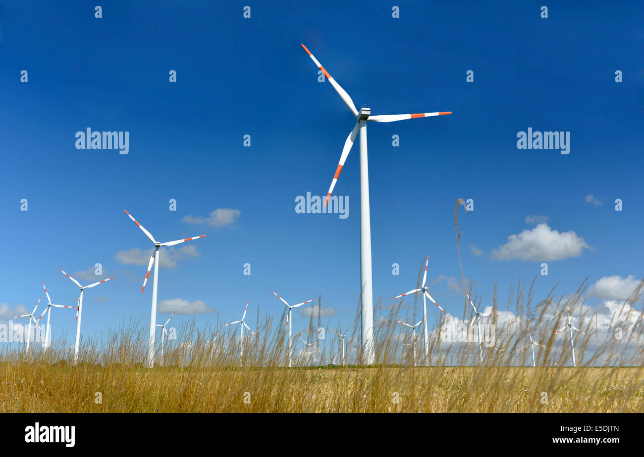 Allemagne (Saxe-Anhalt), onshore wind farm sur le terrain Banque D'Images