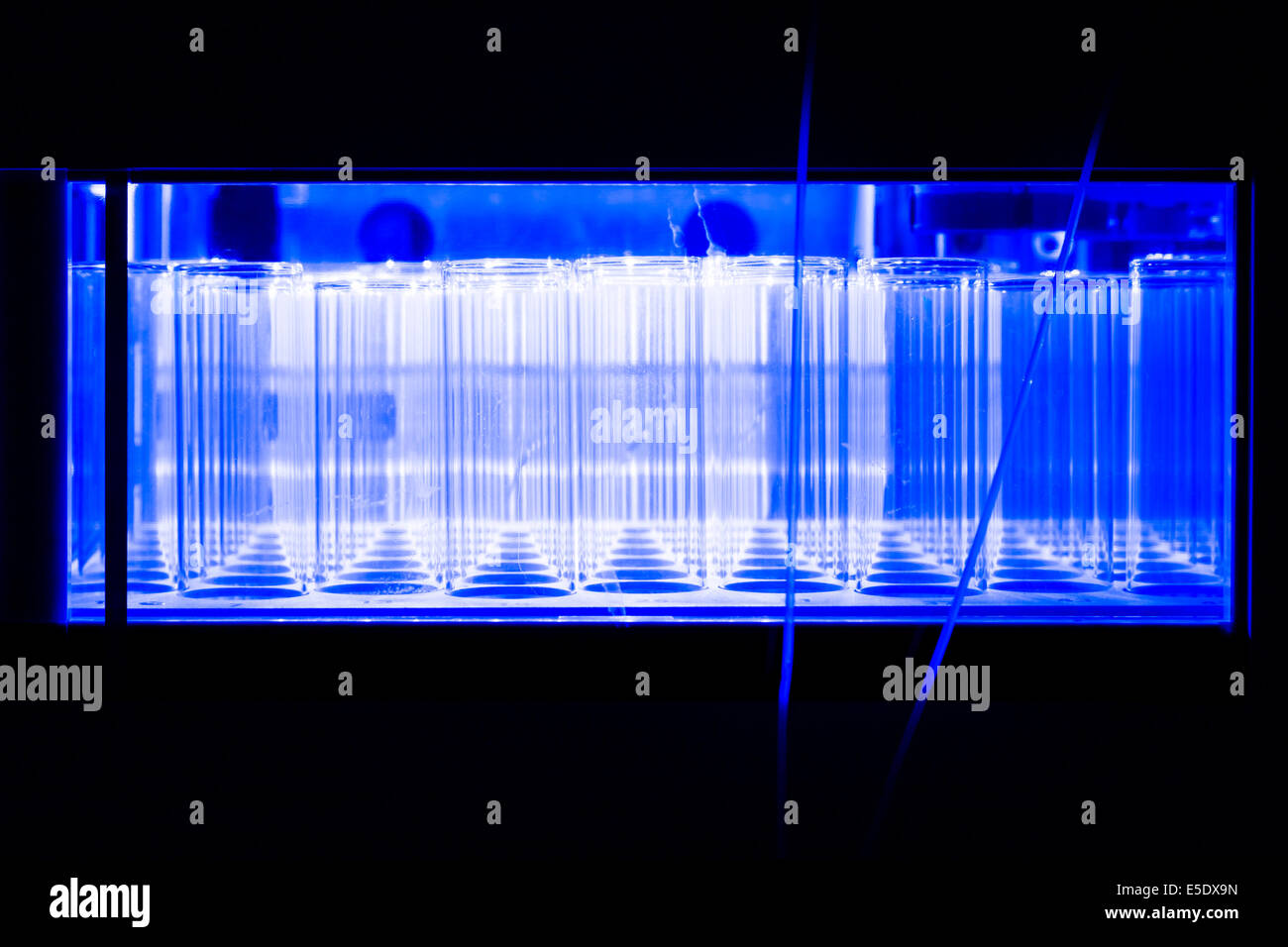 Flacons Test à l'intérieur d'un système HPLC dans un laboratoire de la vie réelle. Banque D'Images