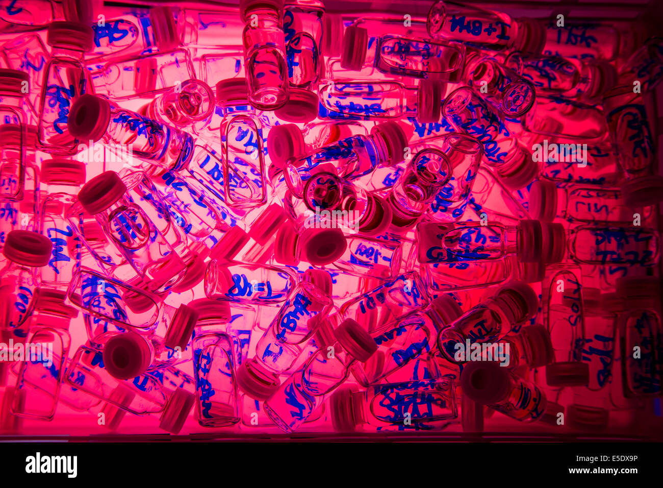 Les petites fioles d'essai éclairée par en dessous avec gel rouge, les flacons ont écrit leur échantillon d'infos sur comme type de solvants, le temps, etc. Banque D'Images