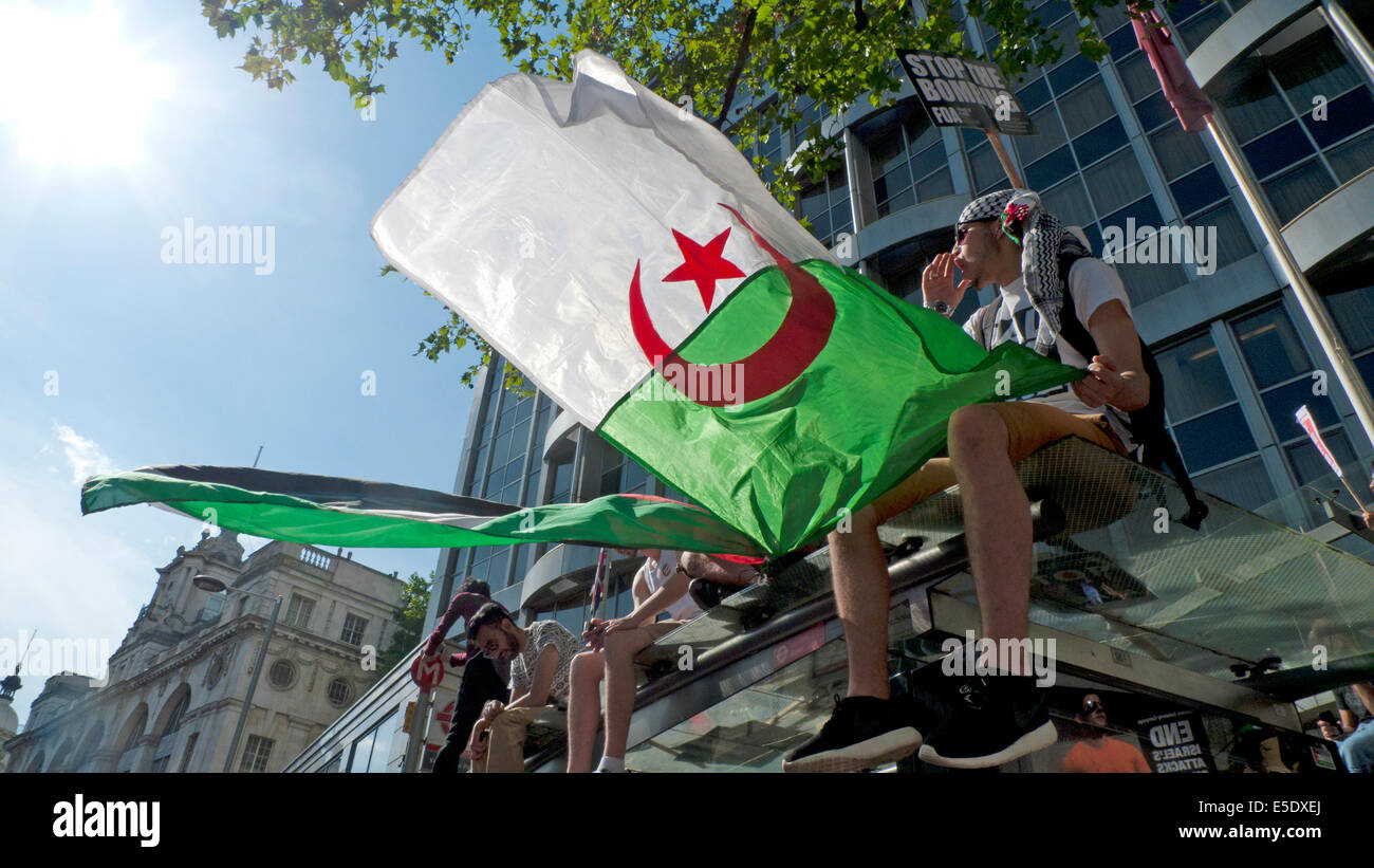Drapeau algérien battant à l'extérieur de l'ambassade d'Israël à l'appui de la protestation palestinienne Gaza pro UK Londres 19.7.2014 KATHY DEWITT Banque D'Images