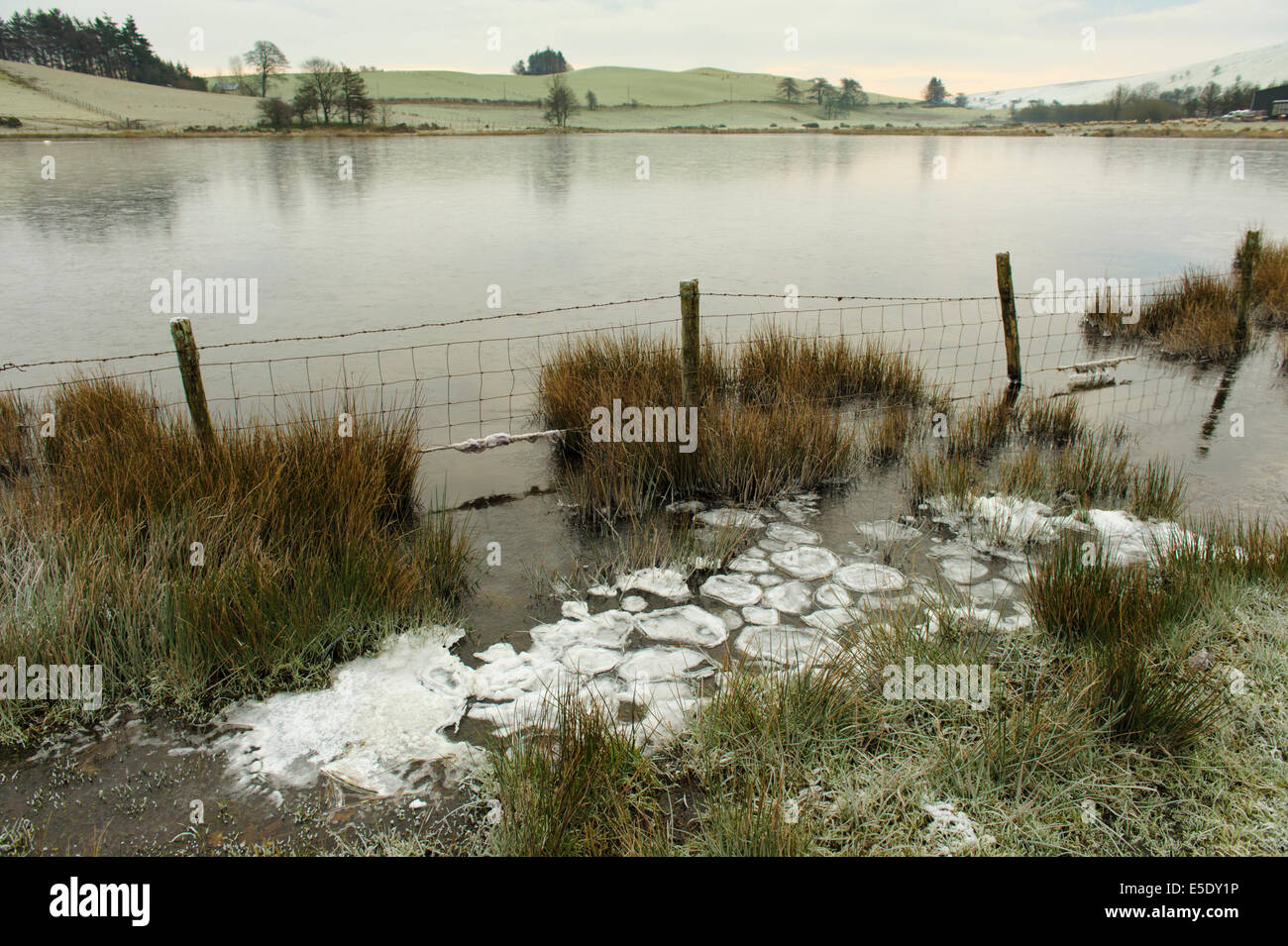 Glace du lac en hiver, Powys, Wales Banque D'Images