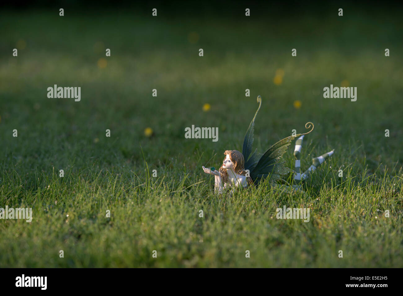 Ornement Fée dans l'herbe illuminée par la lumière du soleil Banque D'Images