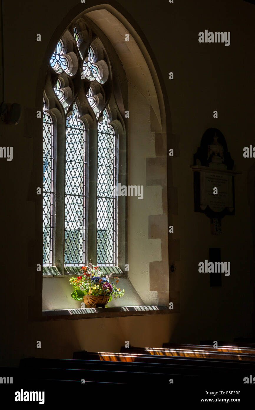 Verser dans la lumière du soleil à travers la fenêtre de l'église St Brynach, Nevern, Pembrokeshire, Pays de Galles Banque D'Images