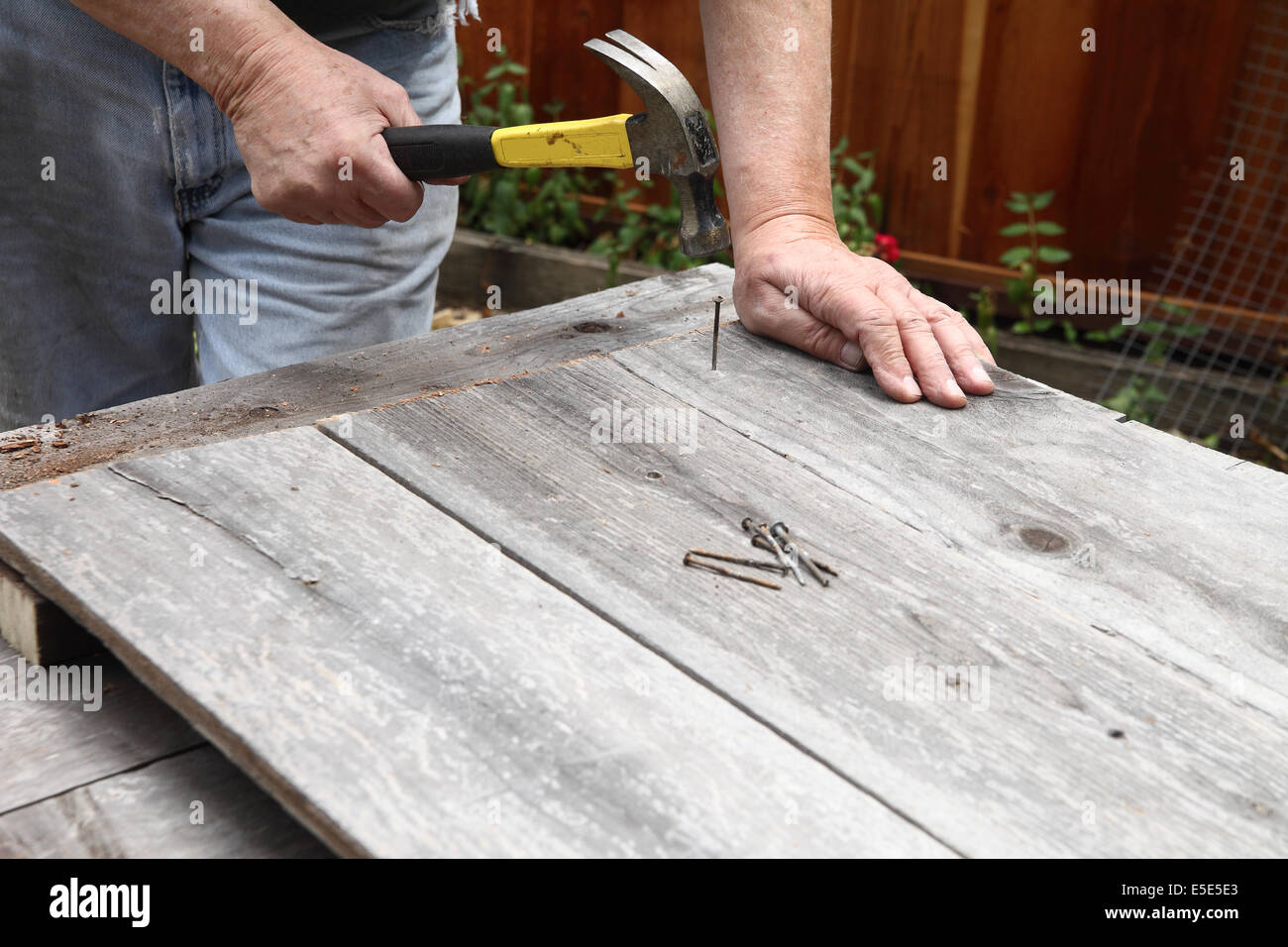 Un homme vieux marteau à clous réutilise ainsi survécu à repasser. Banque D'Images