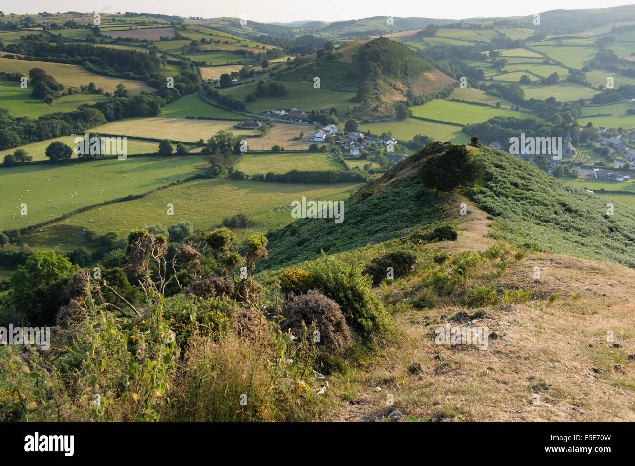 Vue d'ombres du soir de Hergest Ridge, dans la région frontalière du Pays de Galles, Powys, UK Banque D'Images