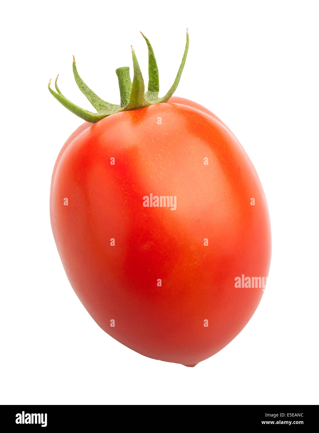 Isolé de tomate prune Banque D'Images