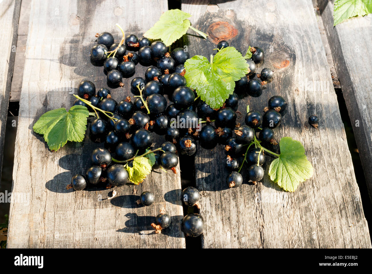 Baies de cassis sur un bureau en bois Banque D'Images