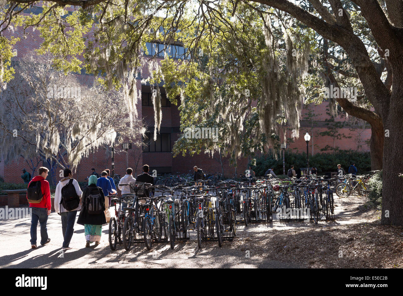 Support à vélos aux étudiants, l'Université de Floride, Gainesville, FL, USA Banque D'Images