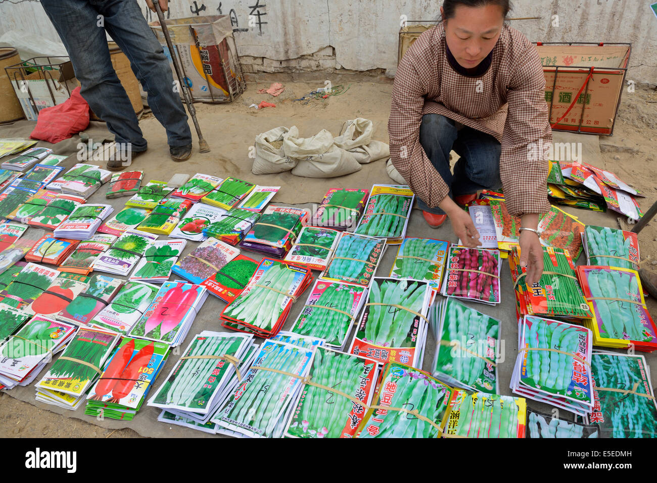Une femme vend des semences de légumes dans un village de Tangshan, province de Hebei, Chine. 26-Mar-2014 Banque D'Images
