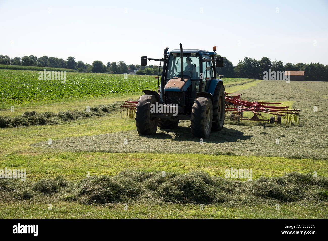 La propagation du tracteur foin pour sécher au soleil Banque D'Images