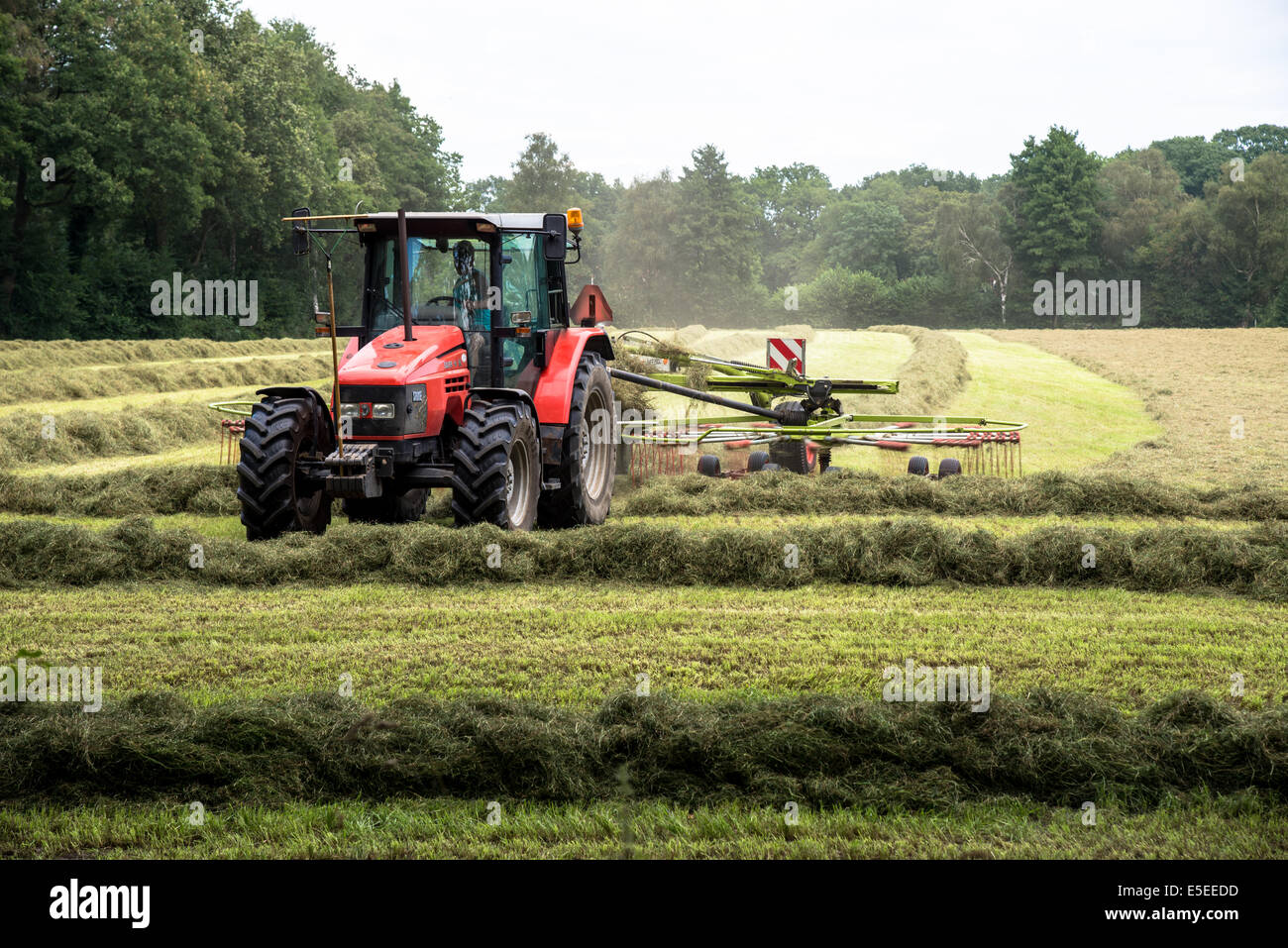 La propagation du tracteur foin pour sécher au soleil Banque D'Images