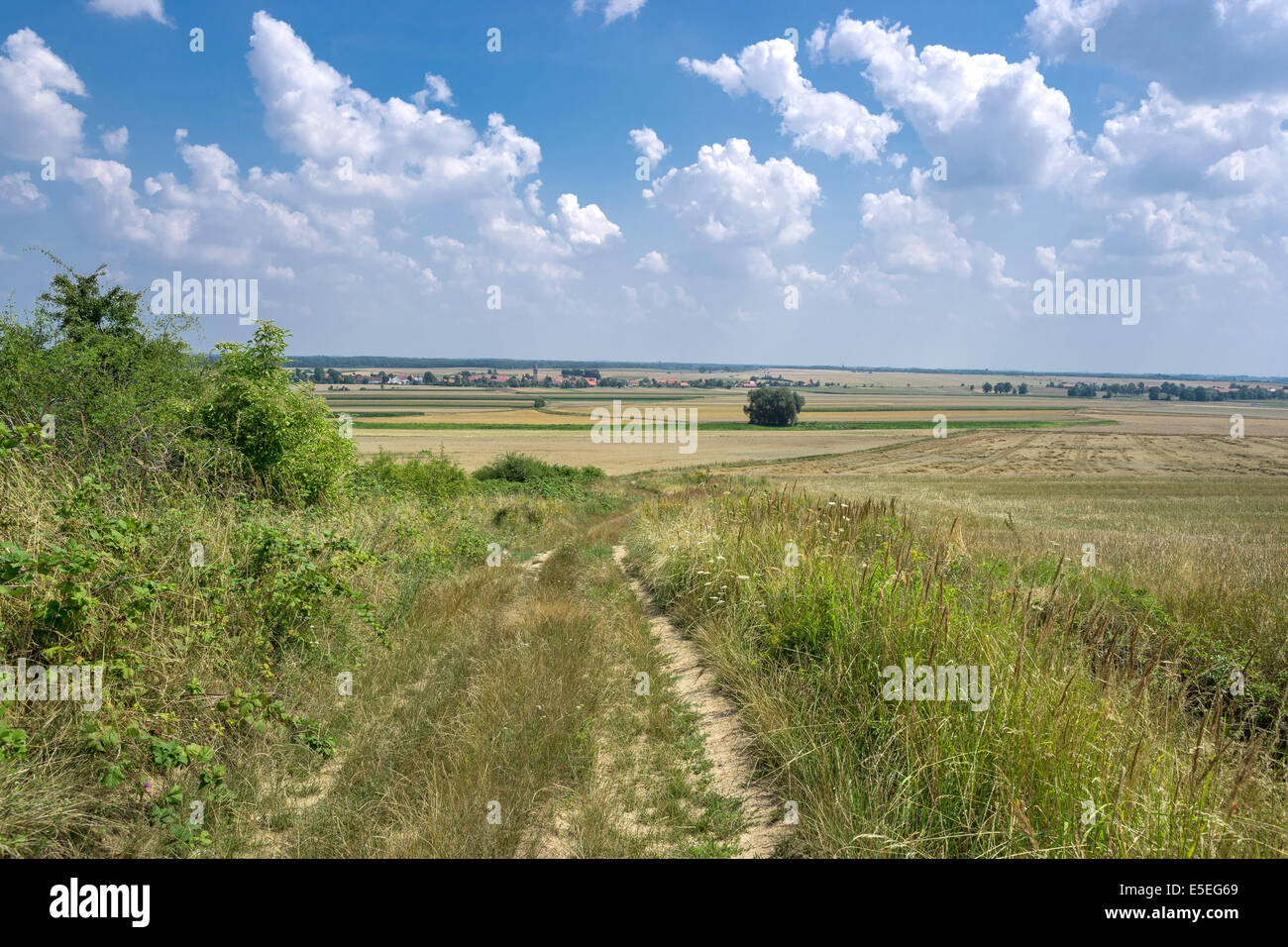 Paysage d'été Basse Silésie près de Strzegom Banque D'Images