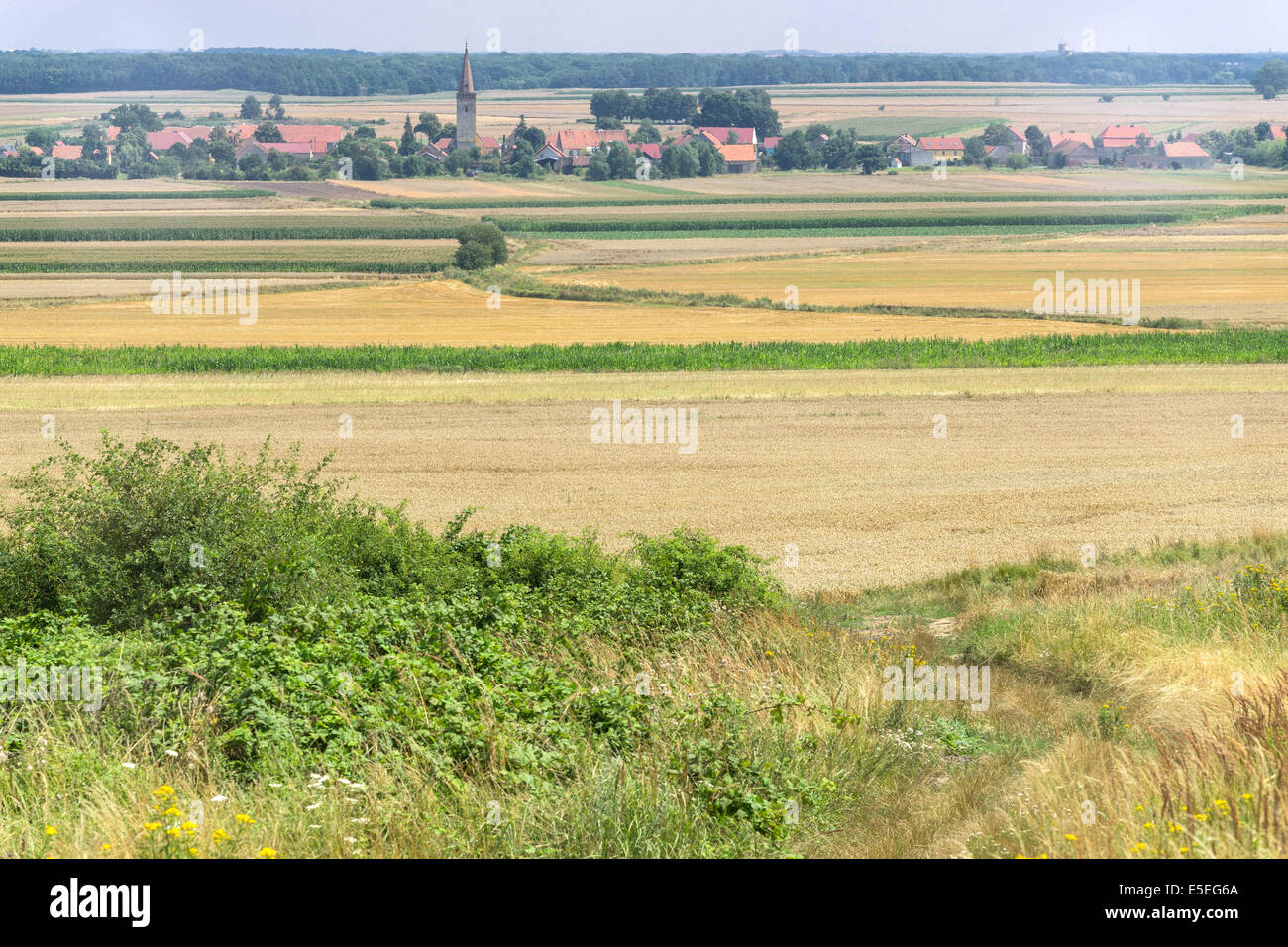 Village Bukow en été Basse Silésie près de Strzegom Banque D'Images