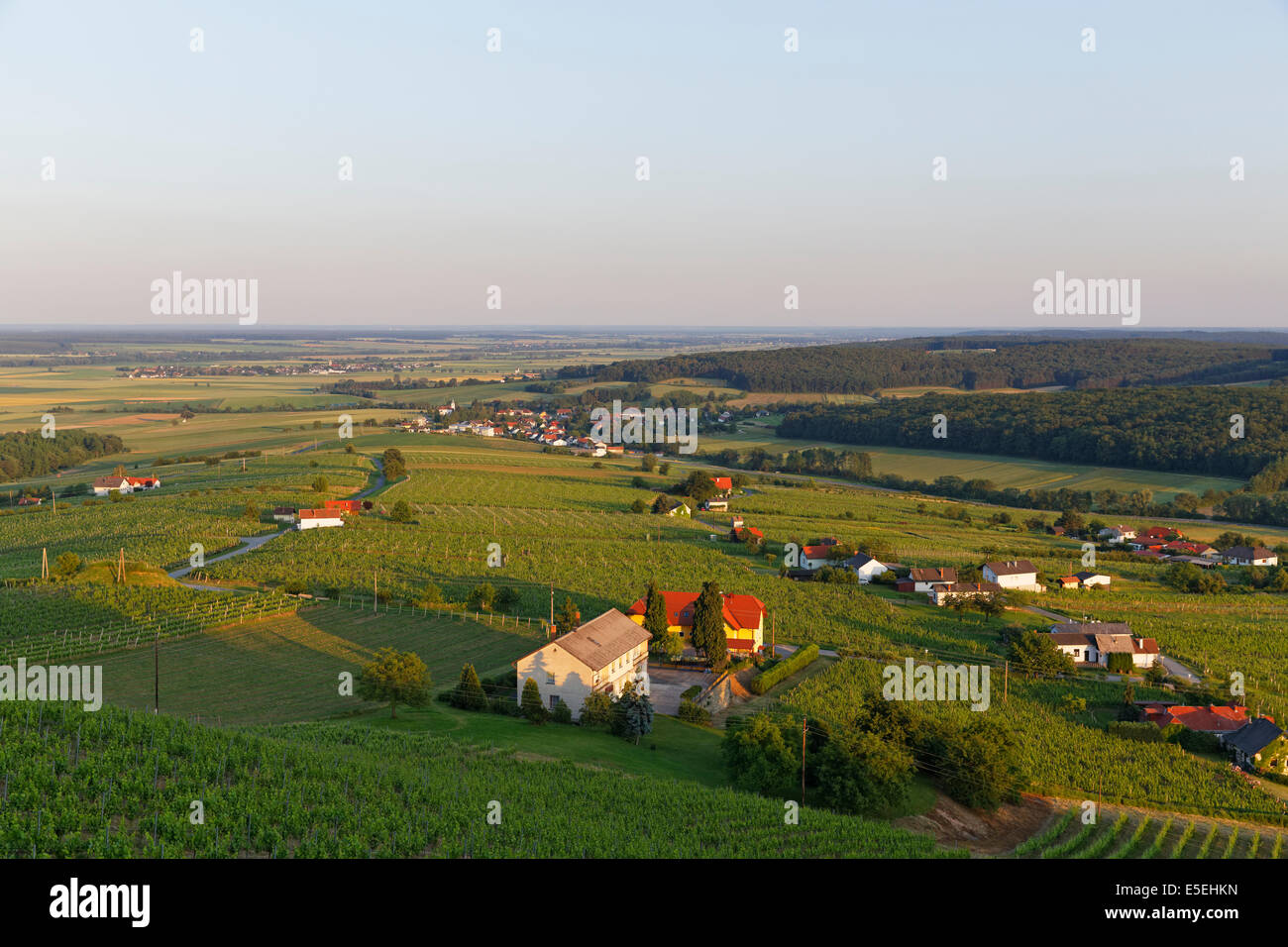 Eisenberg vignoble, Eisenberg an der Pinka, le Burgenland méridional, Burgenland, Autriche Banque D'Images