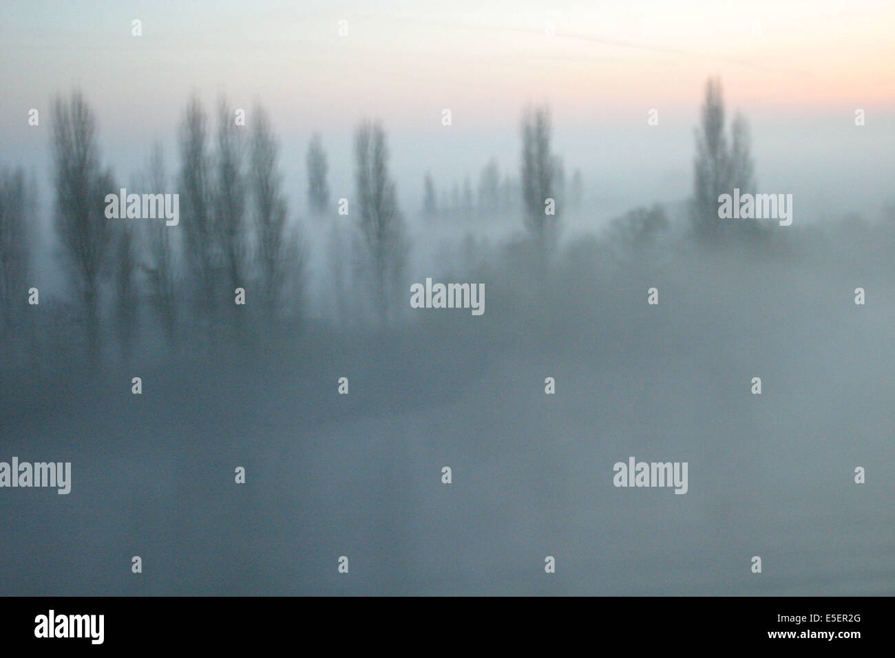 France, Normandie, seine maritime, vallée de la seine aux environs de duclair dans le Brouillard (vu d'un cargo), mandrins, Banque D'Images