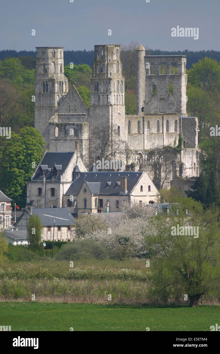 France, Haute Normandie, seine maritime, vallée de la seine, Abbaye de jumièges, vue deuis un cargo, paysage paysage, monument historique, Banque D'Images